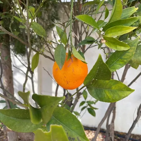 Casa Salix * La Herradura (Granada)